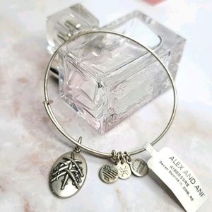 Alex and ani seven swords bracelet 🔥 5/$25 Bundle Sale 🔥